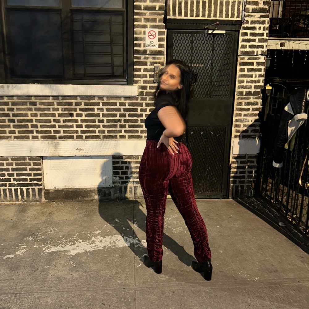 Velvet Ruched Pants - Picture 2 of 3